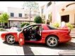 Pontiac Firebird 1995 - Cần bán Pontiac Firebird sản xuất 1995, màu đỏ, nhập khẩu nguyên chiếc số sàn