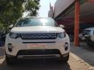 LandRover Discovery   Sport HSE Luxury 2015 - Bán xe LandRover Discovery Sport HSE Luxury 2015, màu trắng, giá tốt 