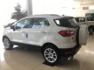 Ford EcoSport 1.0 Titanium  2018 - Chương trình khuyến mại Ford Ecosport cực lơn T11/2018. LH 0965423558