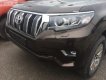 Toyota Prado VX 2.7L 2018 - Cần bán xe Toyota Prado VX 2.7L năm 2018, màu nâu, nhập khẩu