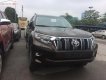 Toyota Prado VX 2.7L 2018 - Cần bán xe Toyota Prado VX 2.7L năm 2018, màu nâu, nhập khẩu