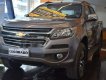 Chevrolet Colorado 2018 - Bán Chevrolet Colorado sản xuất 2018, màu xám, 819tr