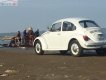 Volkswagen Beetle Trước 1990 - Cần bán xe Volkswagen Beetle Trước sản xuất 1990, màu trắng, xe nhập