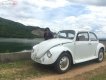 Volkswagen Beetle Trước 1990 - Cần bán xe Volkswagen Beetle Trước sản xuất 1990, màu trắng, xe nhập