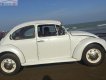 Volkswagen Beetle Trước 1990 - Cần bán xe Volkswagen Beetle Trước sản xuất 1990, màu trắng, xe nhập