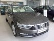 Volkswagen Passat 1.8 Bluemotion 2017 - Bán Volkswagen Passat 1.8 Bluemotion 2017, màu xám, nhập khẩu