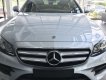 Mercedes-Benz E class E300 2018 - Bán xe Mercedes E300 năm 2018, màu bạc