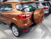 Ford EcoSport Titanium 1.0 EcoBoost 2018 - Bán xe Ford EcoSport Titanium 1.0 EcoBoost đời 2018, động cơ EcoBoost