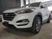 Hyundai Tucson 2.0 AT 2018 - Hyundai Tây Hồ bán Hyundai Tucson 2.0 AT sản xuất 2018, màu trắng, 765tr