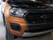 Ford Ranger Wildtrak 2.0L 4x4 AT 2018 - Bán Ford Ranger Wildtrak 2.0L 4x4 AT sản xuất 2018, xe nhập giá tốt