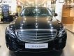 Mercedes-Benz C class C250 Exclusive 2018 - Mercedes Benz C250 Exclusive 2018, đầu tư ban đầu 490tr sở hữu xe ngay, L/H để nhận giá tốt