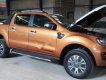 Ford Ranger Wildtrak 2.0L 4x4 AT 2018 - Bán Ford Ranger Wildtrak 2.0L 4x4 AT sản xuất 2018, xe nhập giá tốt