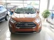 Ford EcoSport Titanium 1.0 EcoBoost 2018 - Bán xe Ford EcoSport Titanium 1.0 EcoBoost đời 2018, động cơ EcoBoost