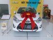 Toyota Wigo 2018 - Bán xe Toyota Wigo năm 2018, màu trắng, nhập khẩu, 125tr