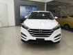 Hyundai Tucson  2.0 2018 - Bán Hyundai Tucson 2.0 sản xuất năm 2018, màu trắng giá cạnh tranh