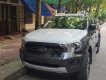 Ford Ranger Wildtrak 2.0 2018 - Bán Ford Ranger Wildtrak 2.0 2018, màu xám, nhập khẩu Thái