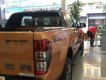 Ford Ranger Wildtrak 2.0L 4x4 AT 2018 - Bán Ford Ranger Wildtrak 2.0L 4x4 AT 2018, nhập khẩu