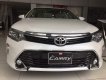 Toyota Camry 2008 - Bán ô tô Toyota Camry 2008, màu trắng, giá chỉ 972 triệu