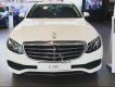 Mercedes-Benz E class E200 2018 - Cần bán xe Mercedes E200 đời 2018, màu trắng