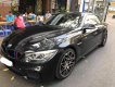 BMW 4 Series 428i 2013 - Bán BMW 428i sản xuất năm 2013, màu đen, nhập khẩu