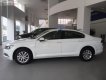 Volkswagen Passat 1.8 Bluemotion 2017 - Bán Volkswagen Passat 1.8 Bluemotion 2017, màu trắng, nhập khẩu