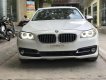 BMW 5 Series 520i 2015 - Bán xe BMW 520i Series năm 2015 màu trắng kem