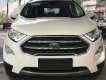 Ford EcoSport  Titanium 1.0L AT 2018 - Bán Ford EcoSport Titanium 1.0L AT, 2018, màu trắng, tặng bảo hiểm thân vỏ, hỗ trợ vay 90% giá xe, thủ tục nhanh gọn
