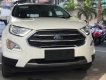 Ford EcoSport  Titanium 1.0L AT 2018 - Bán Ford EcoSport Titanium 1.0L AT, 2018, màu trắng, tặng bảo hiểm thân vỏ, hỗ trợ vay 90% giá xe, thủ tục nhanh gọn