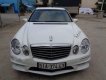 Mercedes-Benz E class 2002 - Cần bán Mercedes đời 2002, màu trắng, nhập khẩu nguyên chiếc, giá chỉ 350 triệu