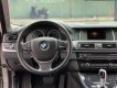 BMW 5 Series 520i 2015 - Bán BMW 520i model 2016 màu nâu, xe mua mới