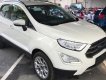 Ford EcoSport  Titanium 1.0L AT 2018 - Bán Ford EcoSport Titanium 1.0L AT, 2018, màu trắng, tặng bảo hiểm thân vỏ, hỗ trợ vay 90% giá xe, thủ tục nhanh gọn
