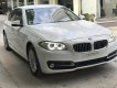 BMW 5 Series 520i 2015 - Bán xe BMW 520i Series năm 2015 màu trắng kem