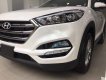 Hyundai Tucson   2018 - Bán xe Hyundai Tucson năm 2018, màu trắng