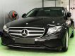 Mercedes-Benz E class E250 2016 - Bán Mercedes E250 đời 2016, ĐK 2017, màu đen