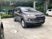 Ford EcoSport 2017 - Chính chủ cần bán lại xe Ford EcoSport 2017, màu xám