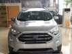 Ford EcoSport     2018 - Bán Ford EcoSport sản xuất năm 2018, màu bạc