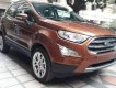 Ford EcoSport 2018 - Cần bán xe Ford EcoSport đời 2018, màu nâu, giá tốt 