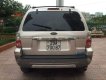 Ford Escape 2006 - Cần bán xe Ford Escape đời 2006, màu vàng số tự động, giá tốt