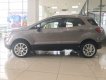 Ford EcoSport 2018 - Cần bán Ford EcoSport năm 2018, màu xám, 525 triệu