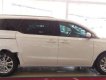 Kia Sedona   Platinum D  2018 - Bán xe Kia Sedona Platinum D năm sản xuất 2018, màu trắng