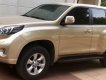 Toyota Prado Txl 2010 - Bán Toyota Prado TXL sản xuất 2010, màu ghi vàng, nhập khẩu nguyên chiếc