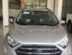 Ford EcoSport 1.0 AT Titanium 2018 - Bán Ford EcoSport 1.0L Ecoboost Titanium sản xuất năm 2018, màu bạc giá tốt