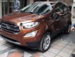 Ford EcoSport 2018 - Cần bán xe Ford EcoSport đời 2018, màu nâu, giá tốt 