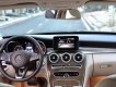 Mercedes-Benz C class C250 Exclusive  2016 - Bán Mercedes C250 năm sản xuất 2016, màu xanh lam