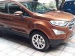 Ford EcoSport 2018 - Cần bán xe Ford EcoSport đời 2018, màu nâu, giá tốt 