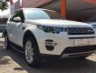 LandRover Discovery   Sport HSE Luxury   2015 - Salon bán xe LandRover Discovery Sport HSE Luxury 2015, màu trắng, nhập khẩu