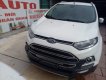 Ford EcoSport 2016 - Cần bán Ford EcoSport năm sản xuất 2016, màu trắng