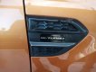Ford Ranger 2019 - Bán ô tô Ford Ranger sản xuất 2019, nhập khẩu, 918 triệu