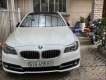 BMW 5 Series  520i 2016 - Bán xe BMW 5 Series 520i đời 2016, màu trắng