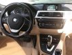 BMW 3 Series 320i 2017 - Bán ô tô BMW 3 Series 320i sản xuất 2017, màu trắng, nhập khẩu